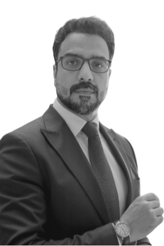 Faraz Zafar Finance Pro Odoo Implementer